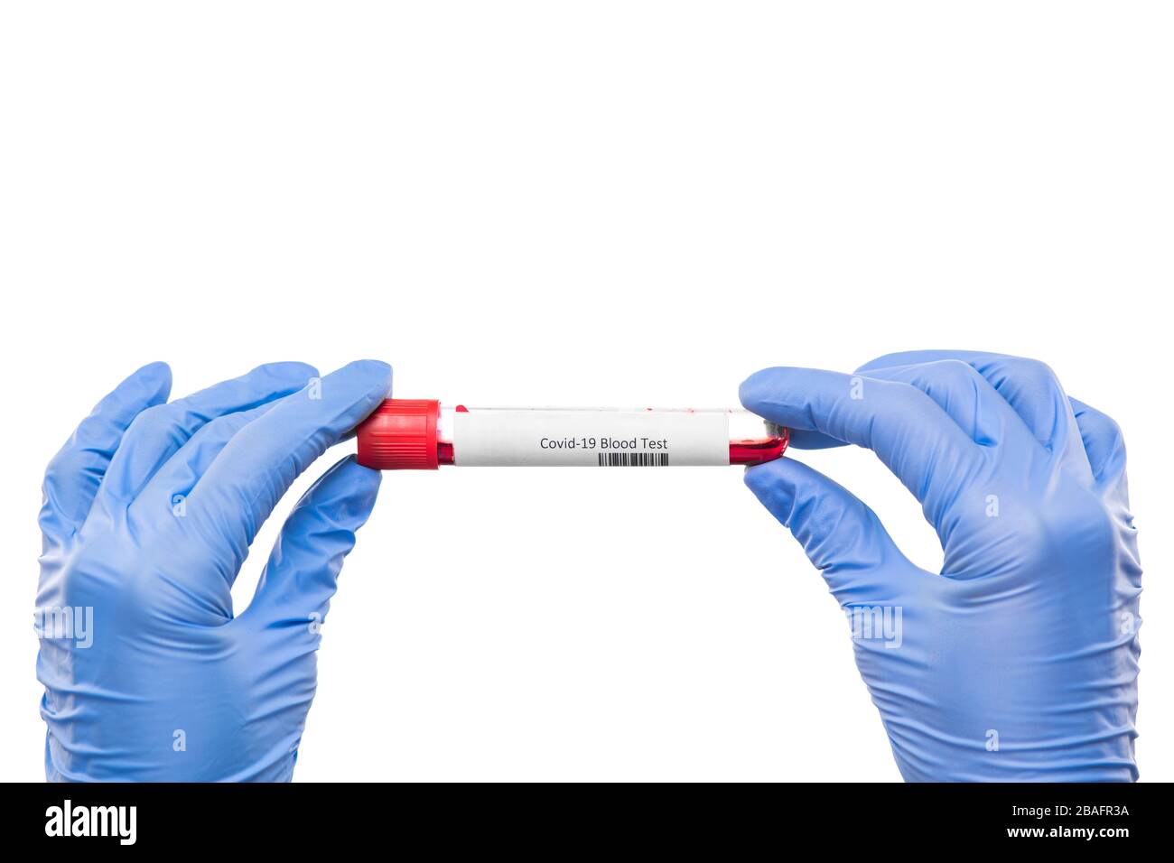Mains glovées d'une fiole de retenue d'infirmière ou d'virologue avec échantillon de sang pour test covid19 sur fond blanc en isolement Banque D'Images