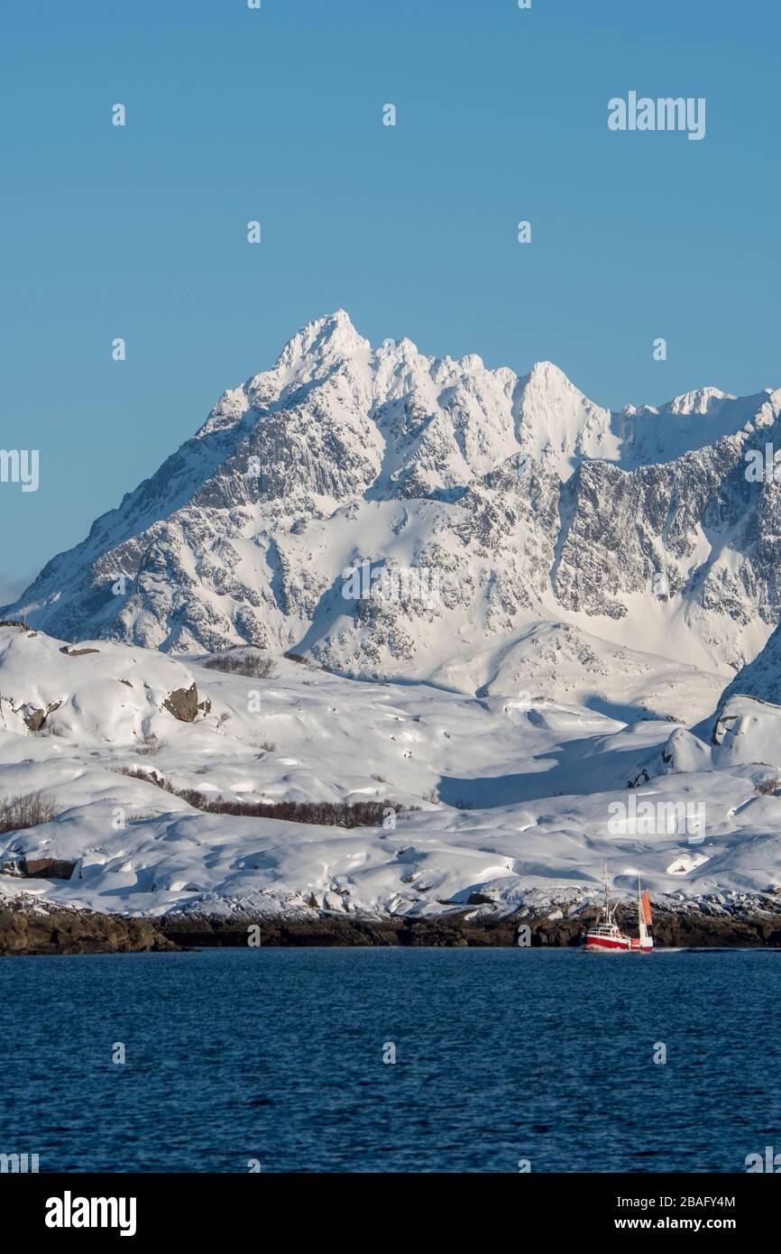 Un bateau de pêche navigue à travers les fjords avec des montagnes enneigées près de Svolvaer, une ville de pêche dans les îles Lofoten, comté de Nordland, Norwa Banque D'Images