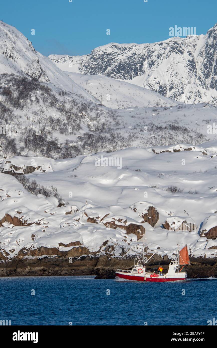 Un bateau de pêche navigue à travers les fjords avec des montagnes enneigées près de Svolvaer, une ville de pêche dans les îles Lofoten, comté de Nordland, Norwa Banque D'Images