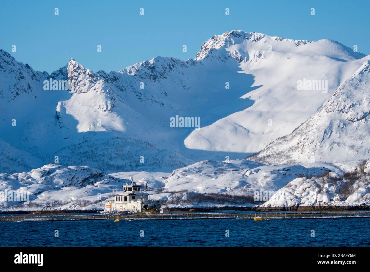 Vue sur une ferme de saumons dans un fjord avec des montagnes enneigées près de Svolvaer, une ville de pêche dans les îles Lofoten, comté de Nordland, Norvège. Banque D'Images