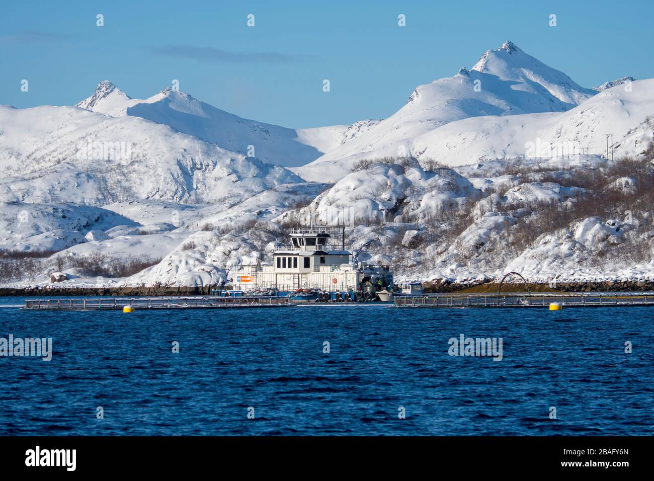 Vue sur une ferme de saumons dans un fjord avec des montagnes enneigées près de Svolvaer, une ville de pêche dans les îles Lofoten, comté de Nordland, Norvège. Banque D'Images