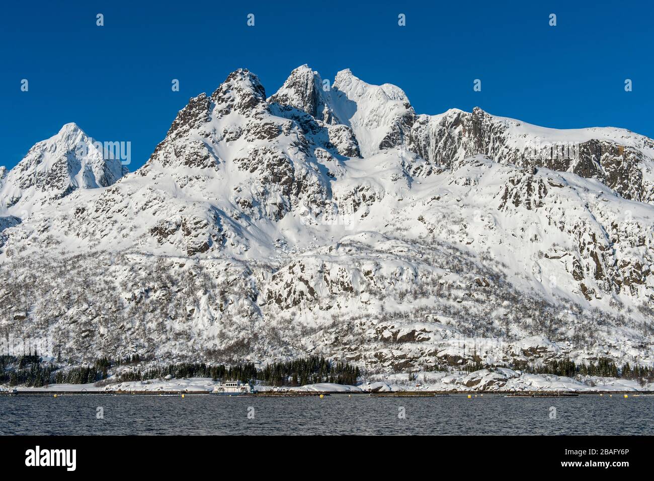 Vue sur une ferme de saumons dans un fjord avec des montagnes enneigées près de Svolvaer, une ville de pêche dans les îles Lofoten, comté de Nordland, Norvège. Banque D'Images