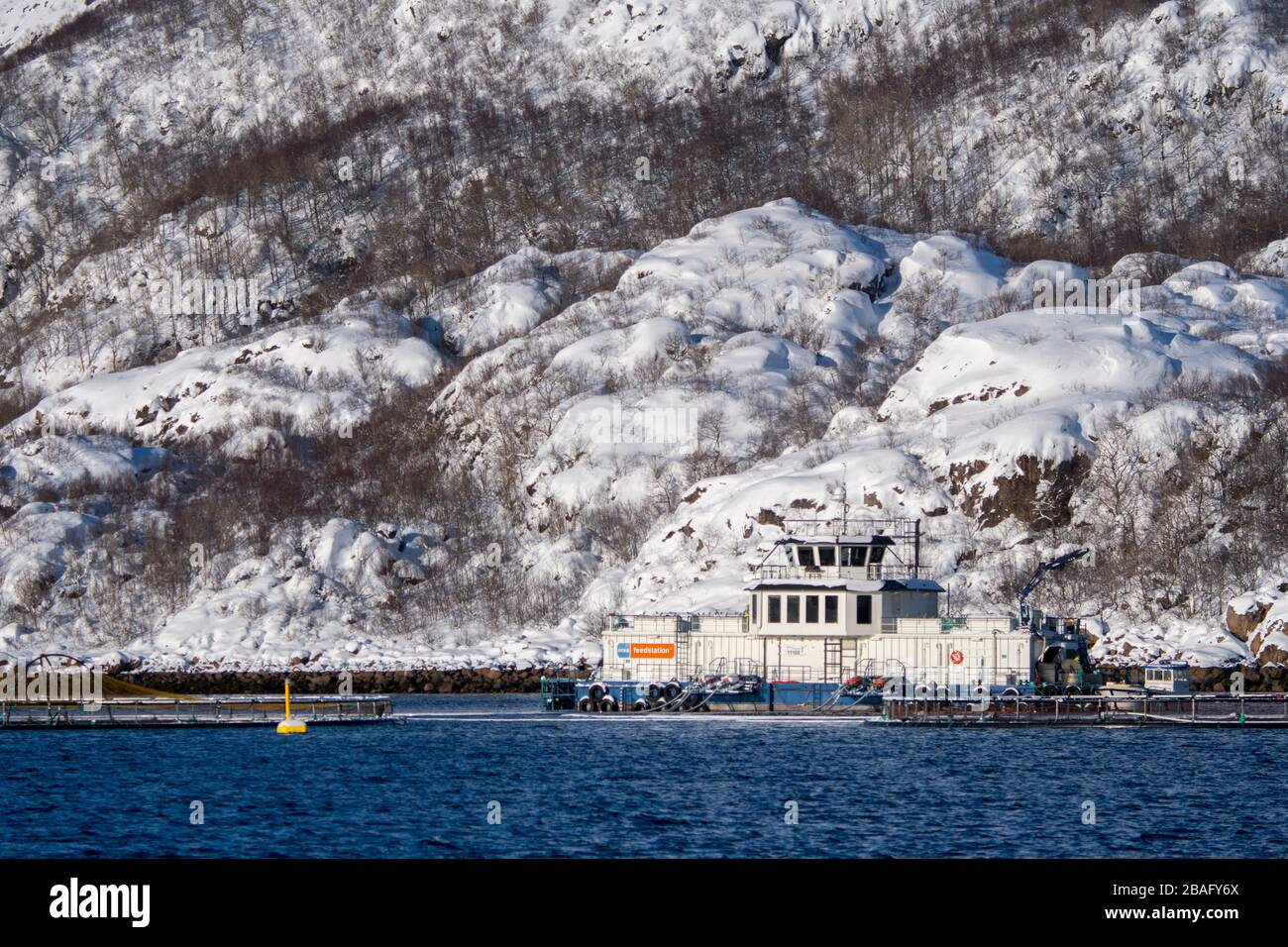 Vue sur une ferme de saumons dans un fjord avec des montagnes enneigées près de Svolvaer, une ville de pêche dans les îles Lofoten, comté de Nordland, Norvège. Banque D'Images