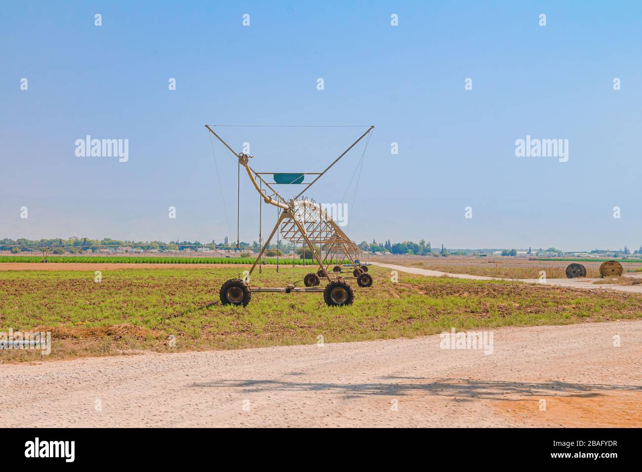 Réseau sprinkleur à pivot central dans un champ agricole de la vallée israélienne de Beit Shean. Heure d'été sèche. Vue longue avec espace de copie. Banque D'Images