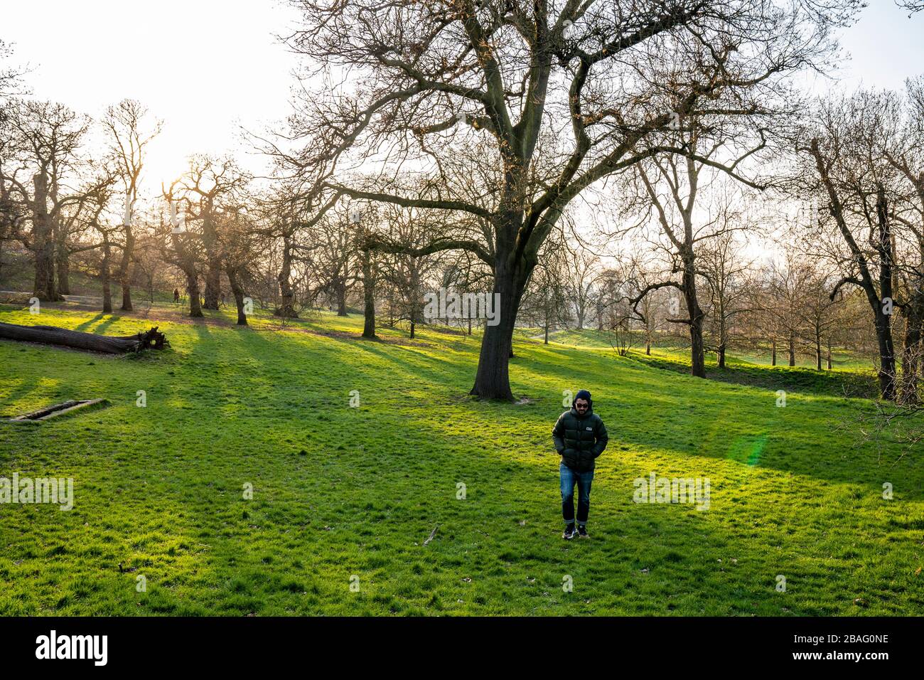 Homme du milieu des années 40 marchant à travers Greenwich Park. Banque D'Images