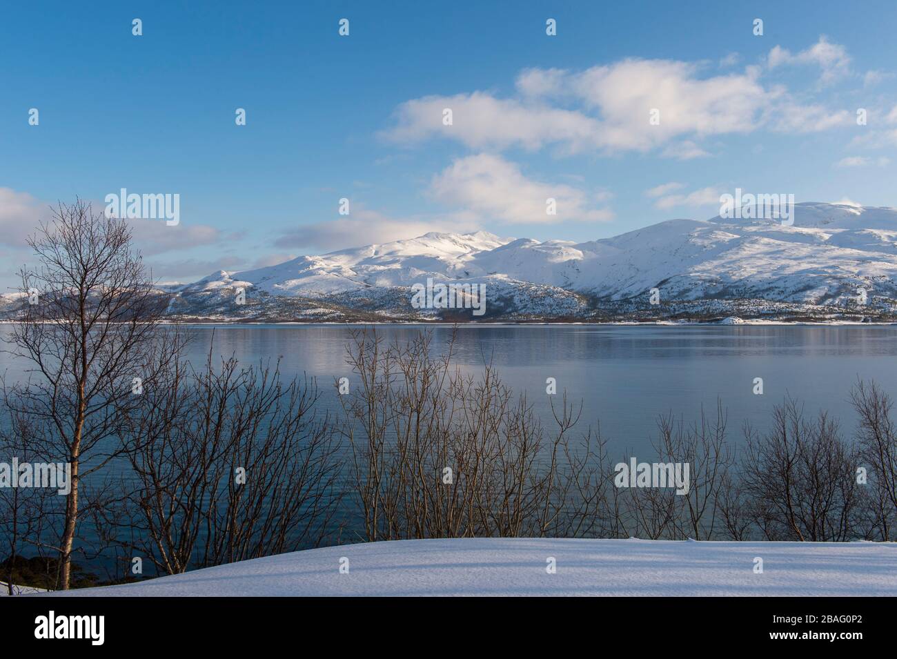 Vue sur un fjord avec des montagnes enneigées dans les îles Lofoten, comté de Nordland, Norvège. Banque D'Images