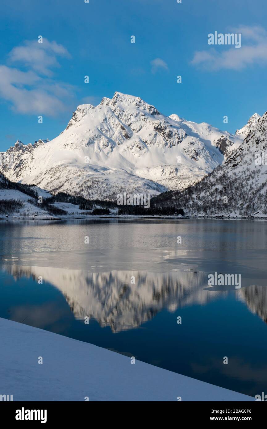 Vue sur une montagne enneigée qui se reflète dans un fjord des îles Lofoten, comté de Nordland, Norvège. Banque D'Images