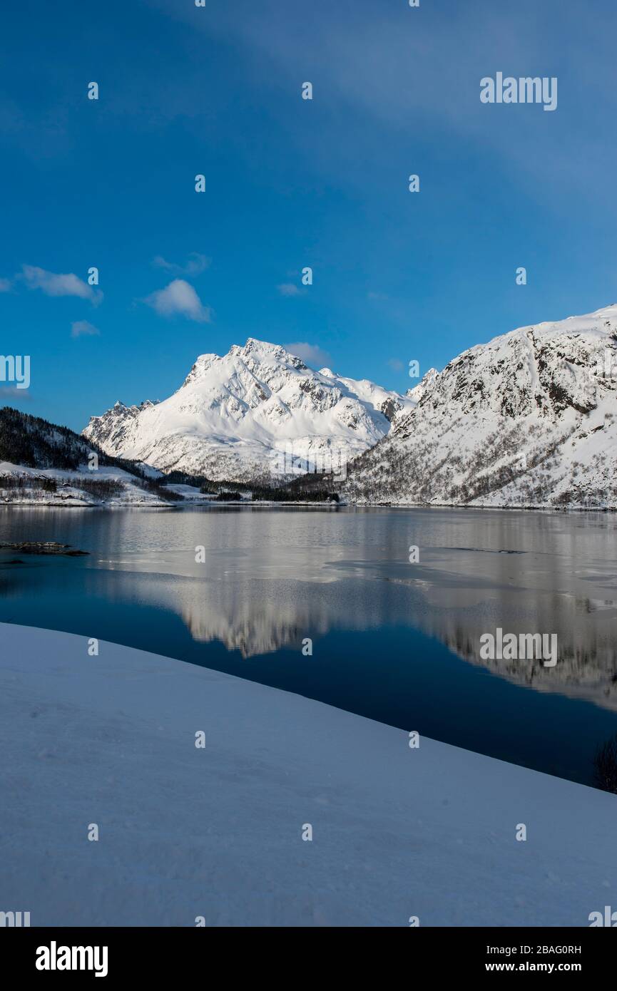 Vue sur une montagne enneigée qui se reflète dans un fjord des îles Lofoten, comté de Nordland, Norvège. Banque D'Images