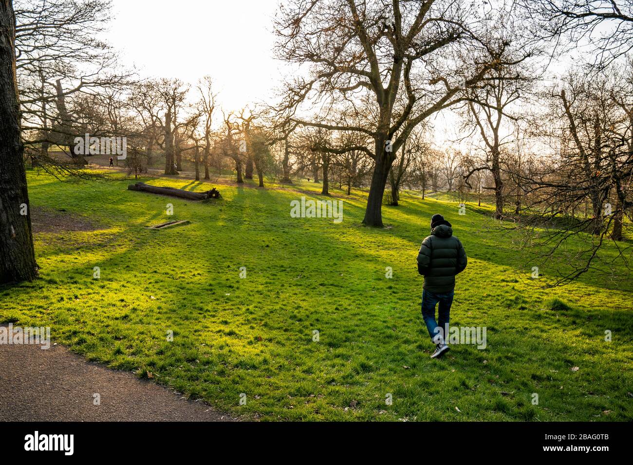 Homme du milieu des années 40 marchant à travers Greenwich Park. Banque D'Images