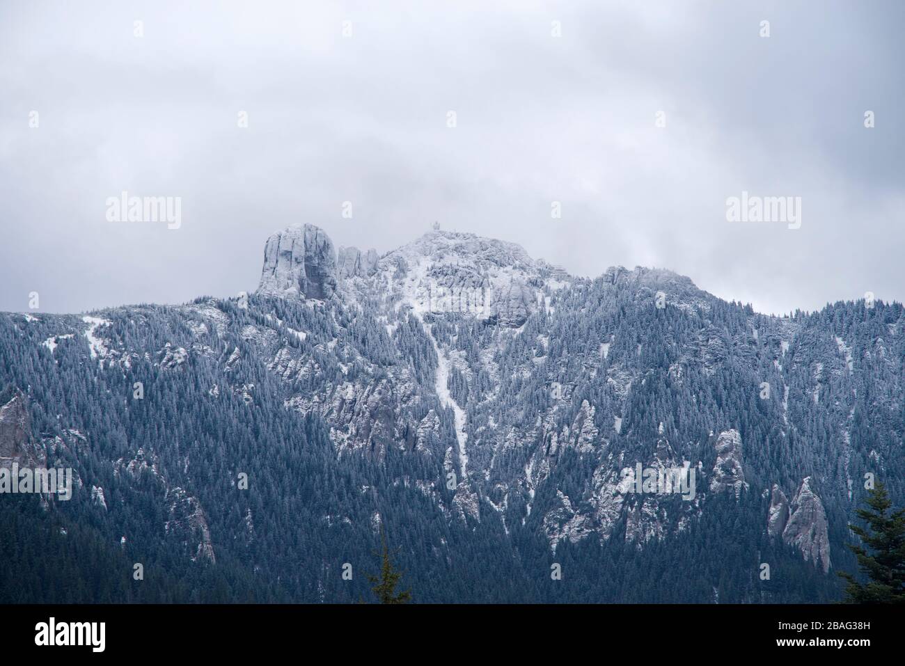 Neige fraîche sur le sommet rocheux des Carpates roumains. Banque D'Images