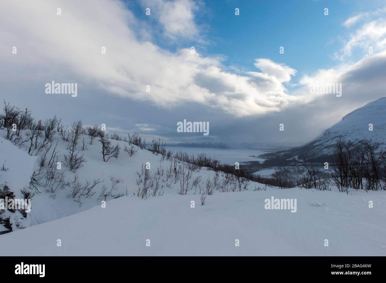 Vue depuis les pistes de ski de l'Hotel Fjallet, région de Lac Tornetrask gelé et enneigé, en Laponie suédoise, dans le nord de la Suède. Banque D'Images