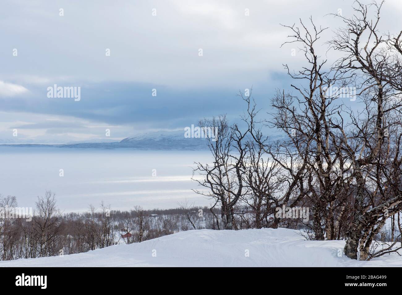 Vue depuis les pistes de ski de l'Hotel Fjallet, région de Lac Tornetrask gelé et enneigé, en Laponie suédoise, dans le nord de la Suède. Banque D'Images
