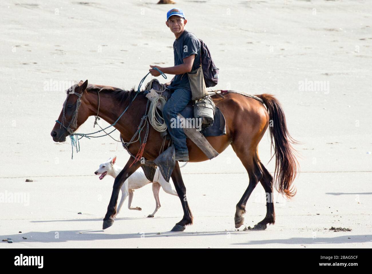 Un cow-boy nicaraguayen qui monte sur la plage le matin. Banque D'Images