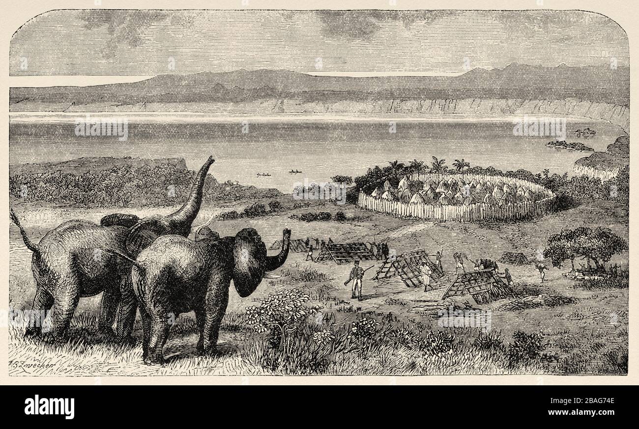 Vue panoramique sur les éléphants et un village sur le lac de Liemba, Tanganyika Tanzanie. Les derniers journaux de David Livingstone missionnaire écossais et explorez Banque D'Images
