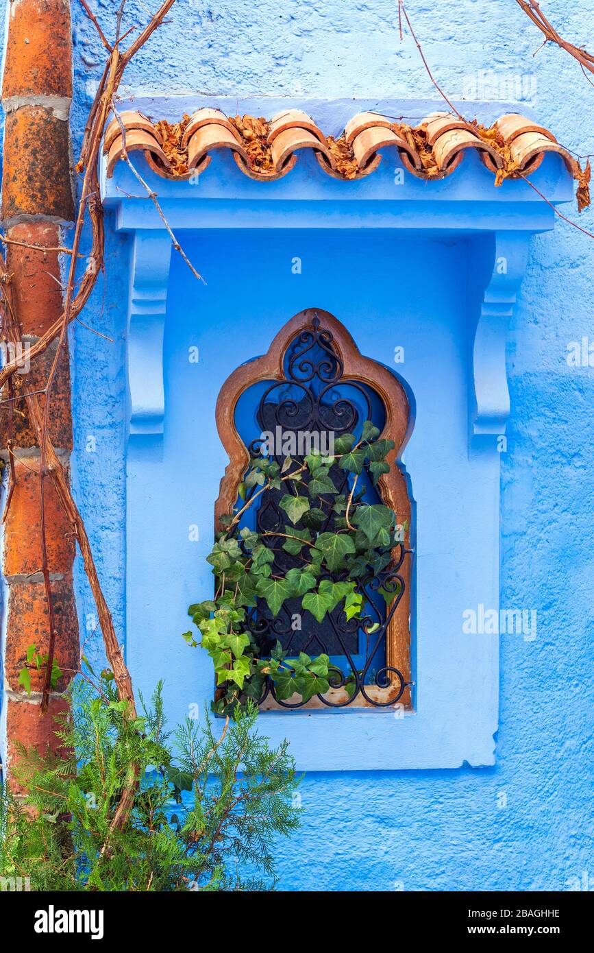 La fenêtre est couverte de ivy, Chefchaouen, Maroc. Vertical Banque D'Images
