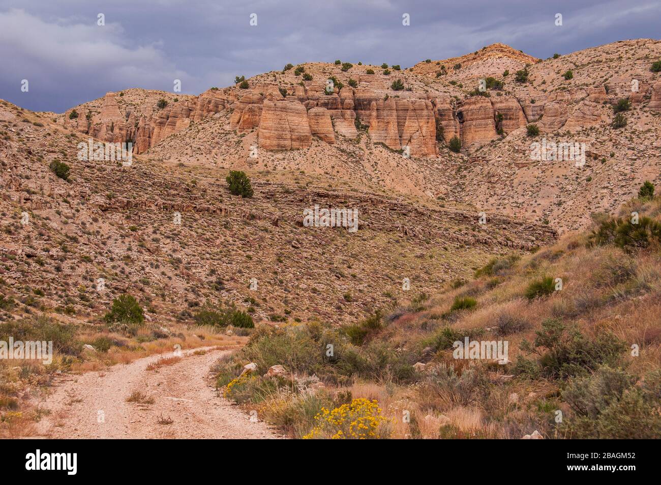 Hack Canyon Road, Arizona Strip, Arizona. Banque D'Images