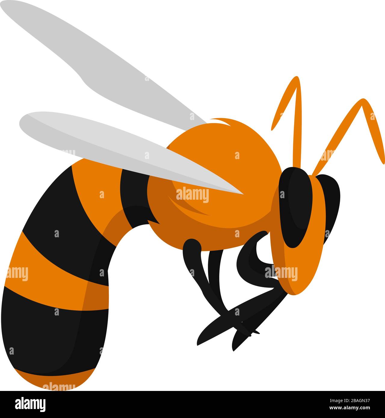 Insecte d'abeille, illustration, vecteur sur fond blanc Illustration de Vecteur