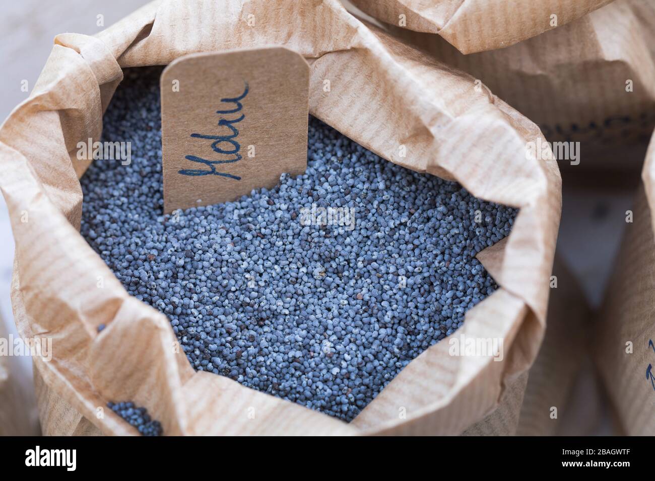 Pavot à opium (Papaver somniferum), graines pour l'alimentation des oiseaux Banque D'Images Pavot à opium (Papaver somniferum), graines pour l'alimentation des oiseaux Banque D'Images