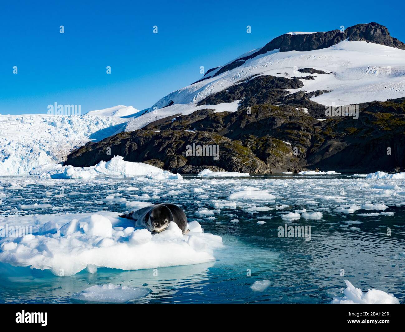 Zodiaque croisière parmi la glace à Cierva Cove sur la péninsule Antarctique Banque D'Images