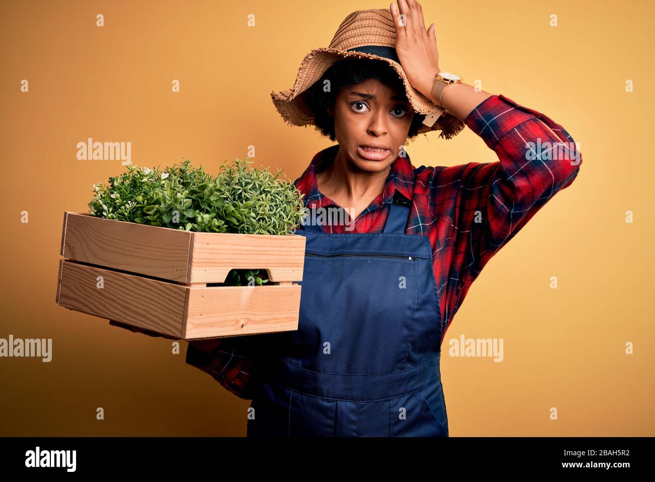 Jeune paysan afro-américain avec des cheveux bouclés portant une boîte de maintien de tablier avec des plantes stressées avec la main sur la tête, choqué avec la honte et la surprise Banque D'Images