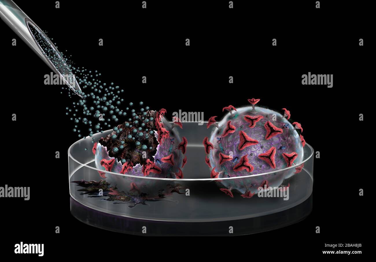 Vaccin contre le coronavirus Covid-19, illustration conceptuelle Banque D'Images