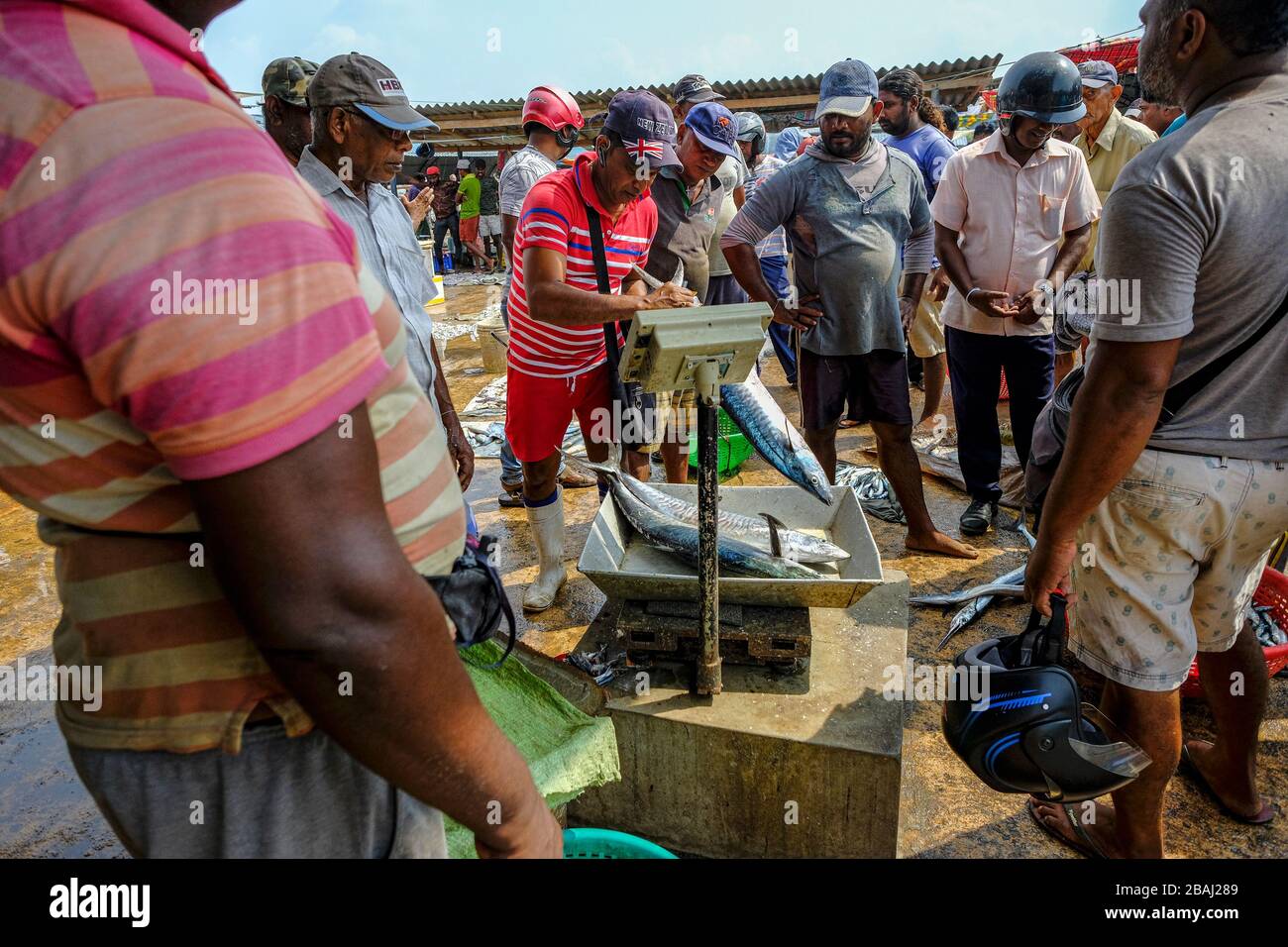 Negombo, Sri Lanka - Mars 2020: Un homme qui vend du poisson sur le marché du poisson à Negombo le 6 mars 2020 à Negombo, Sri Lanka. Banque D'Images