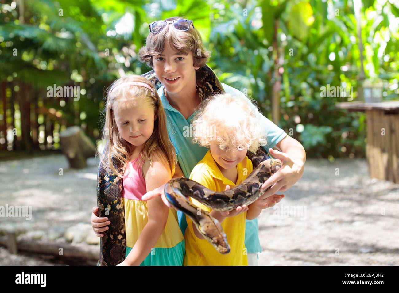 Kids holding serpent python in tropical zoo. Les enfants regardant reptiles exotiques. Garçon et fille avec des serpents sur voyage scolaire à Safari park. Brave kid learnin Banque D'Images