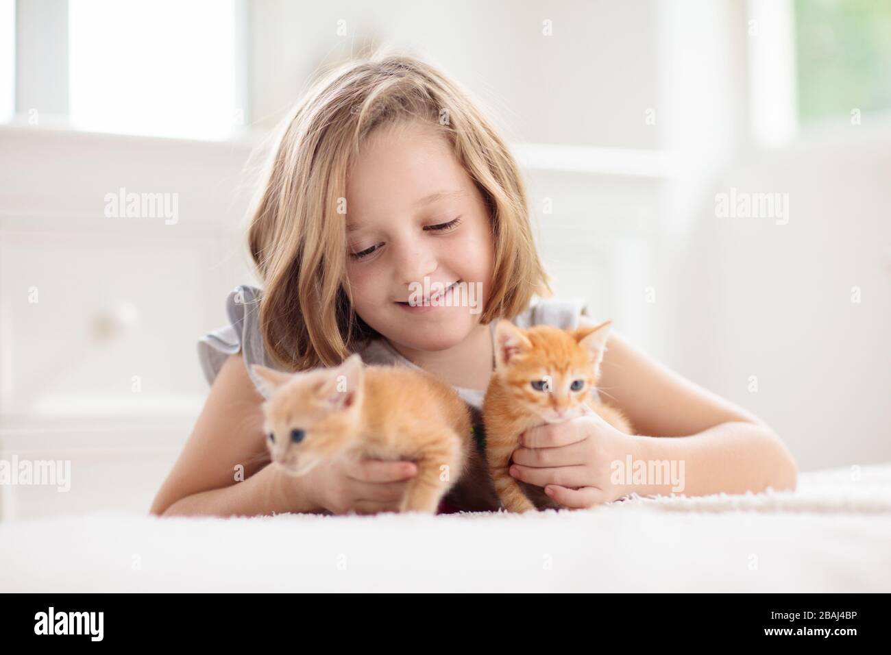 Enfant tenant bébé chat. Enfants et animaux de compagnie. Petite fille  embrassant mignon petit chaton à la maison. Animal domestique en famille  avec enfants. Enfants avec animaux de compagnie Photo Stock -