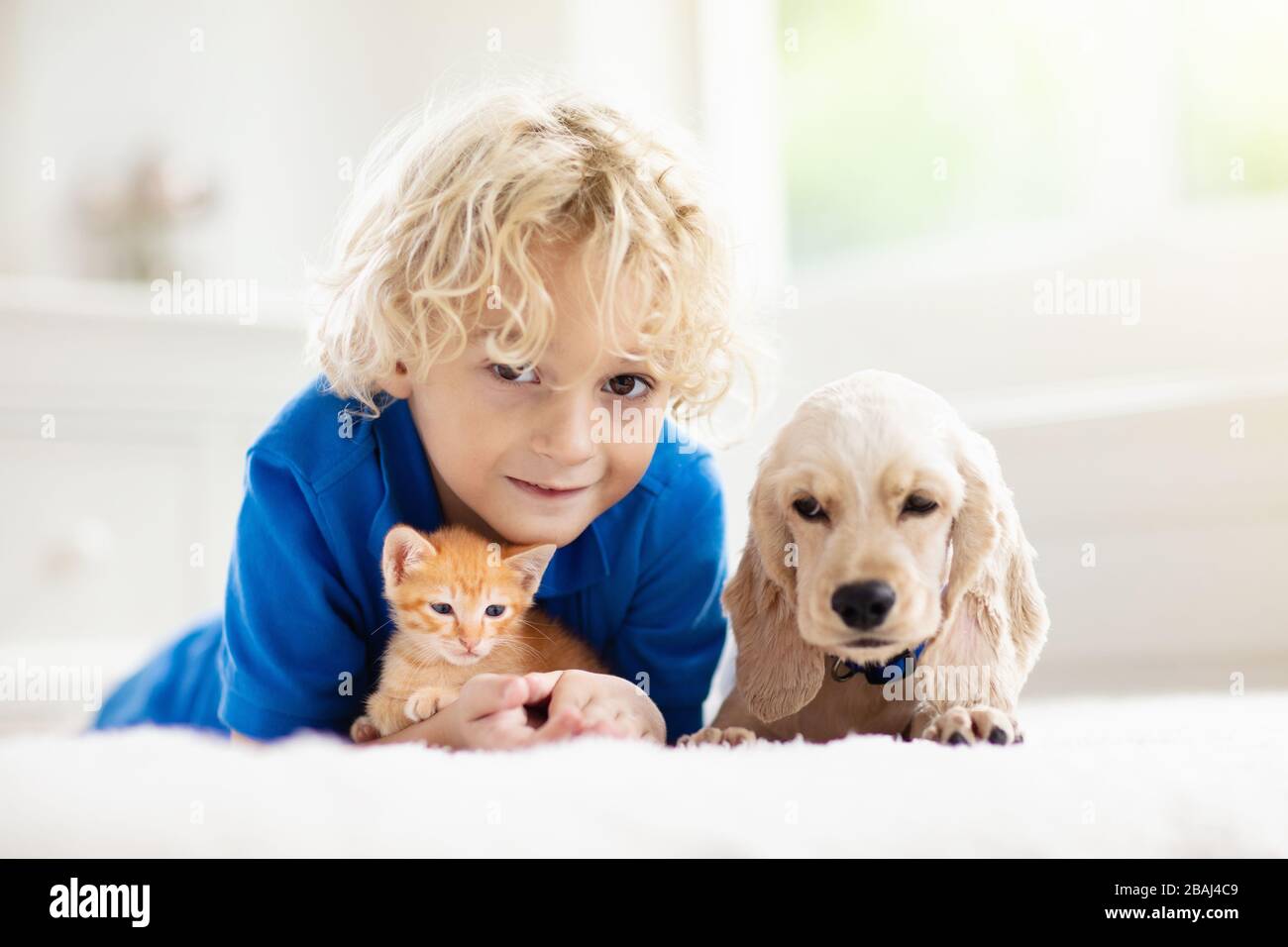 Enfant Jouant Avec Bebe Chien Et Chat Les Enfants Jouent Avec Le Chiot Et Le Chaton Un Petit Garcon Et Un Epagneul Americain De Cocker Sur Le Lit A La Maison Enfants