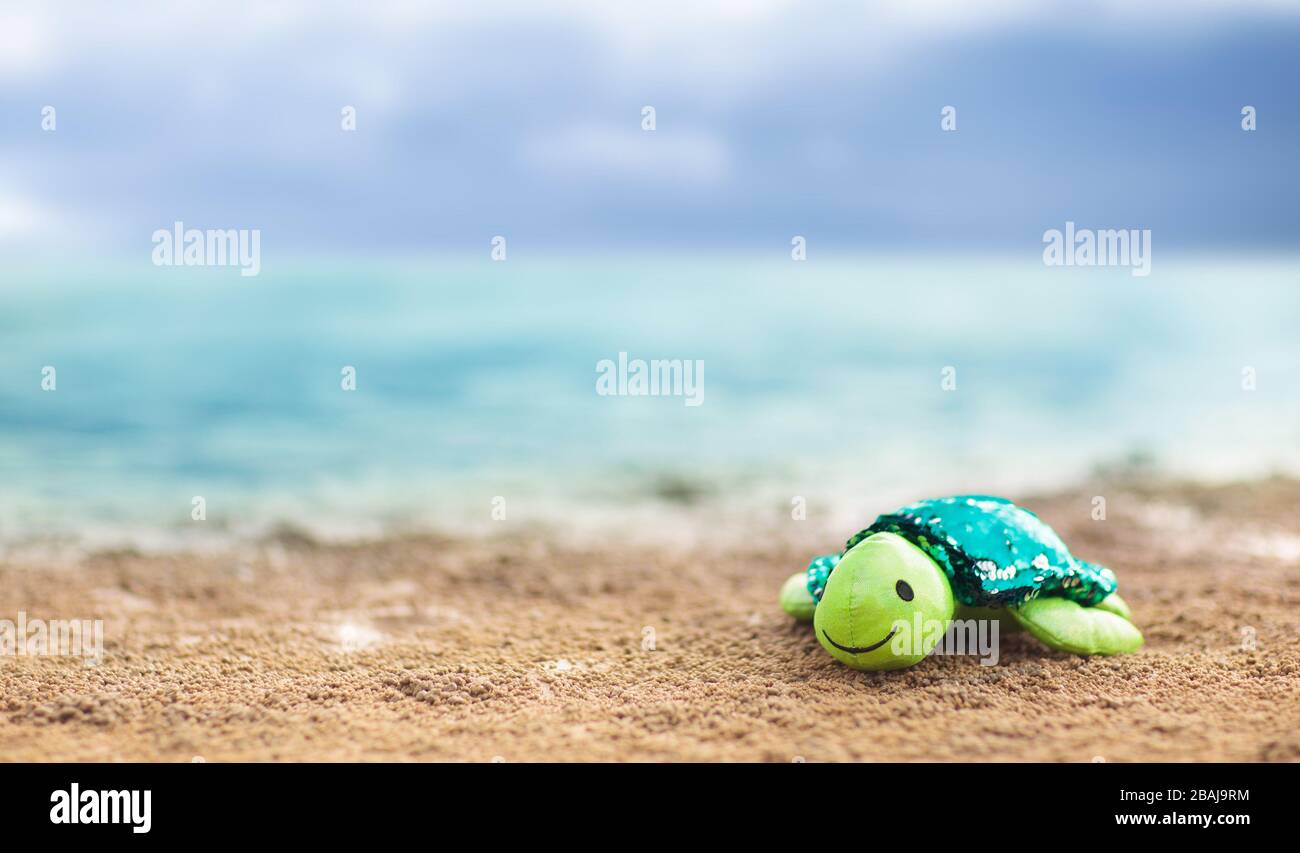 Tortue jouet sur la plage tropicale. Animal marin farci. Protection des  espèces menacées. Plaisir de l'océan pour les enfants. Vacances d'été avec  les essentiels pour enfants Photo Stock - Alamy