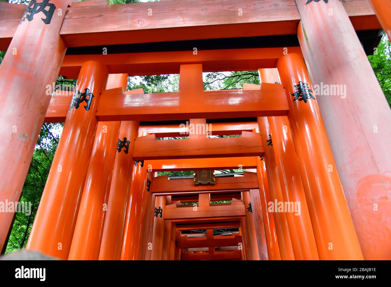Portes Torri au sanctuaire de Fushimi Inari à Kyoto. Le sanctuaire est célèbre pour ses milliers de portes vermilion torii à la base Banque D'Images