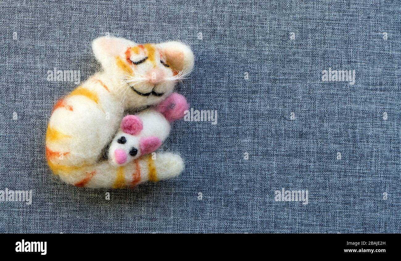 Un chat endormi tient une souris dans ses bras Banque D'Images