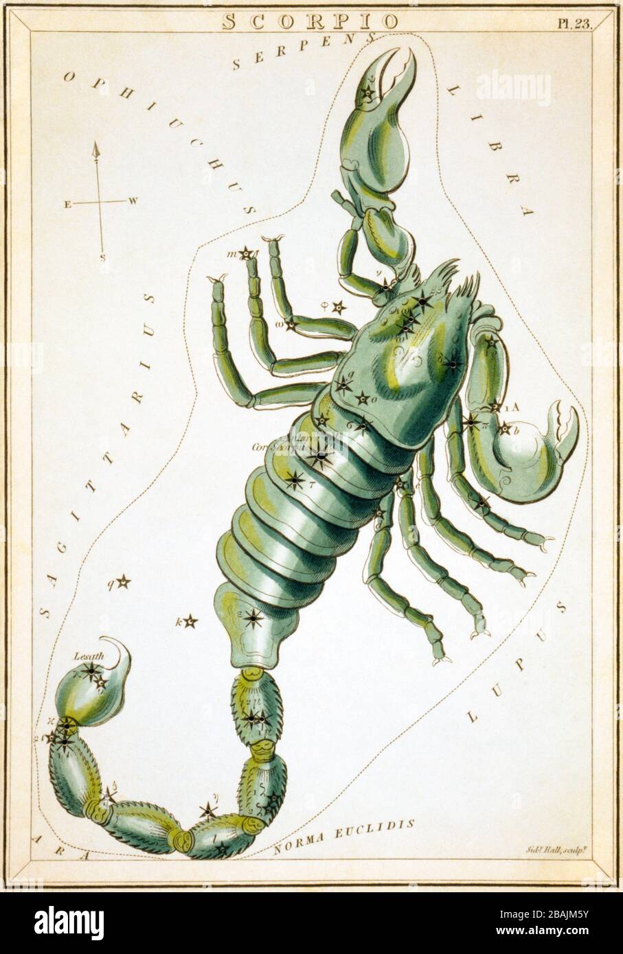 Scorpion, carte céleste, partie du miroir Urania, vue des cieux, gravé par la salle Sidney, publié pour la première fois en 1824 Banque D'Images
