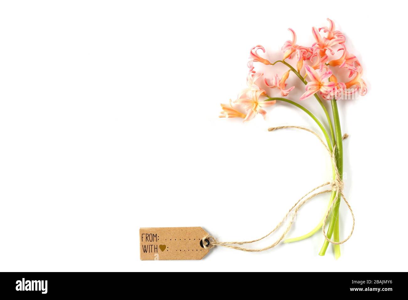 Bouquet de fleurs roses printanières avec étiquette cadeau sur fond blanc. Symbole du printemps, Pâques, célébration, anniversaire, mariage Banque D'Images