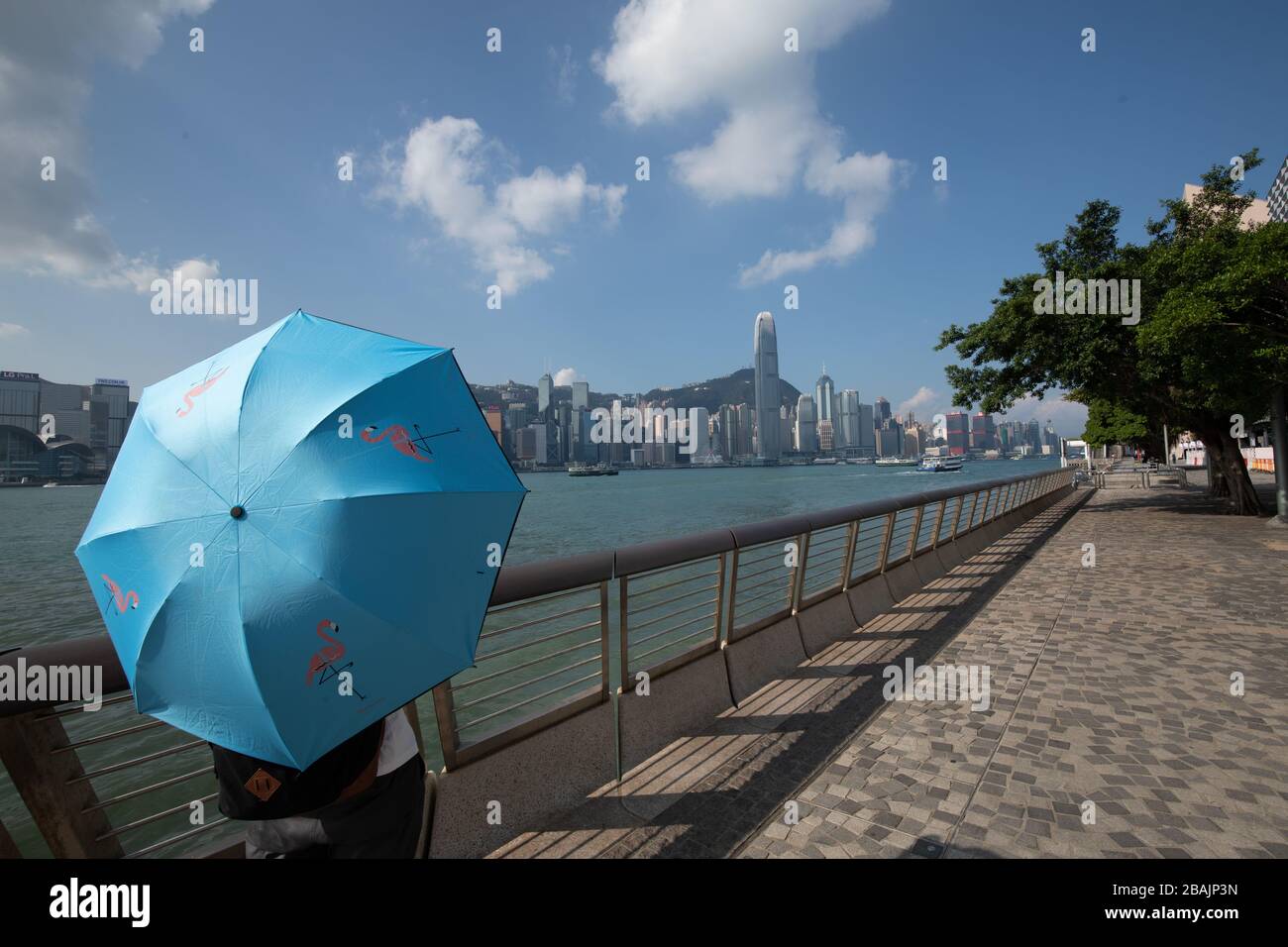 Une fille avec un parapluie qui fait une promenade le long du port de Hong Kong dans l'après-midi avec les gratte-ciel en arrière-plan Banque D'Images
