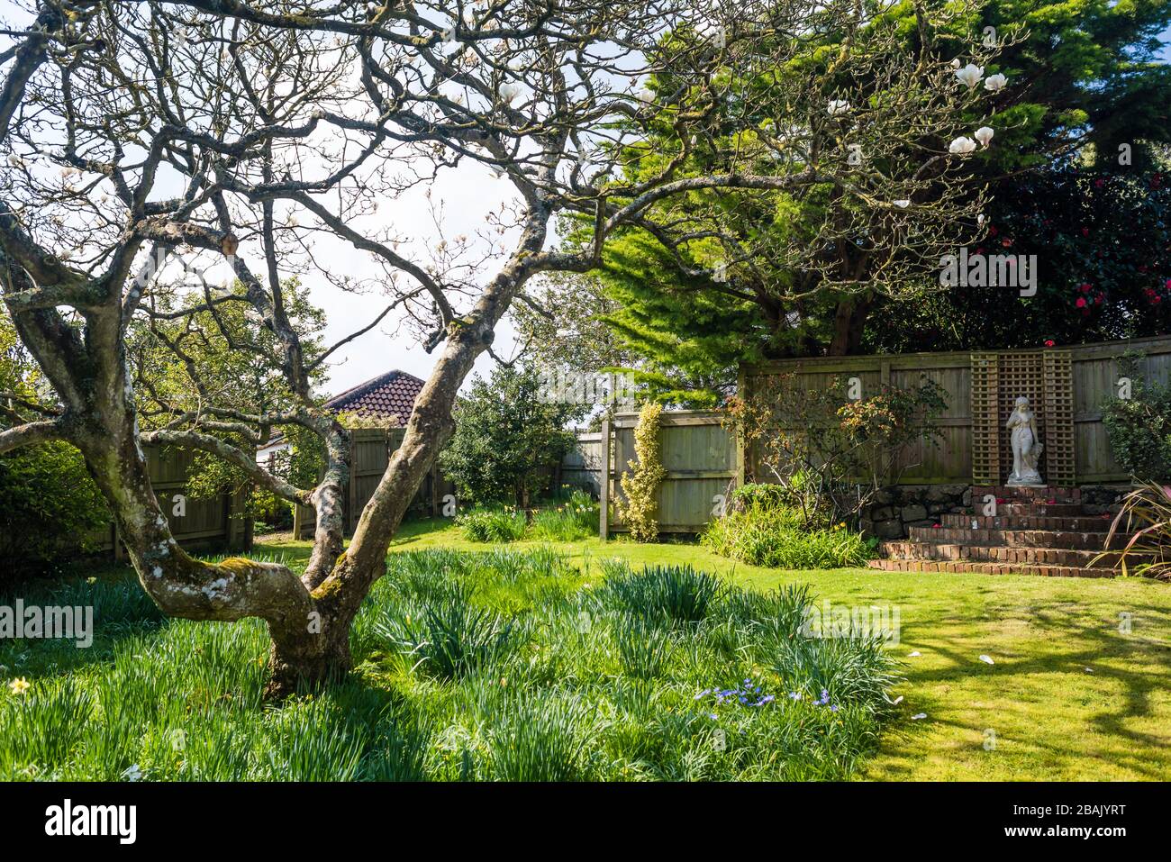 Un jardin de campagne privé au printemps. Banque D'Images