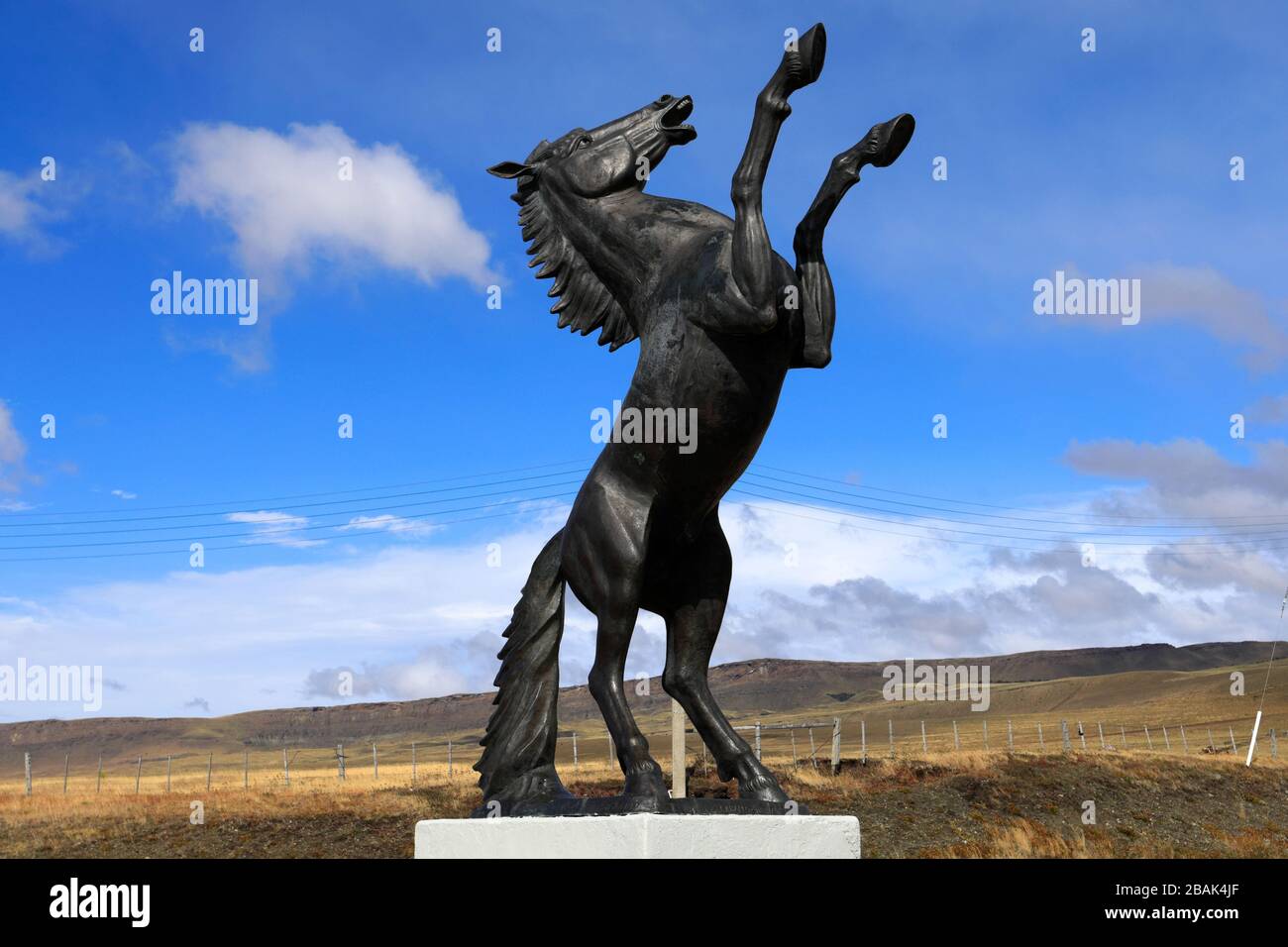 L'étalon de bronze à la Villa Cerro Castillo, région de Magallanes, Patagonie, Chili, Amérique du Sud Banque D'Images