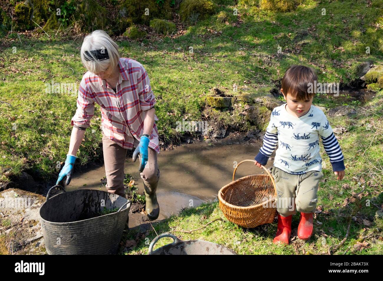 Grand-mère et petit-fils enfant en défrichement d'un étang de campagne de mauvaises herbes pour planter la cresson au printemps dans Carmarthenshire Pays de Galles Royaume-Uni. KATHY DEWITT Banque D'Images