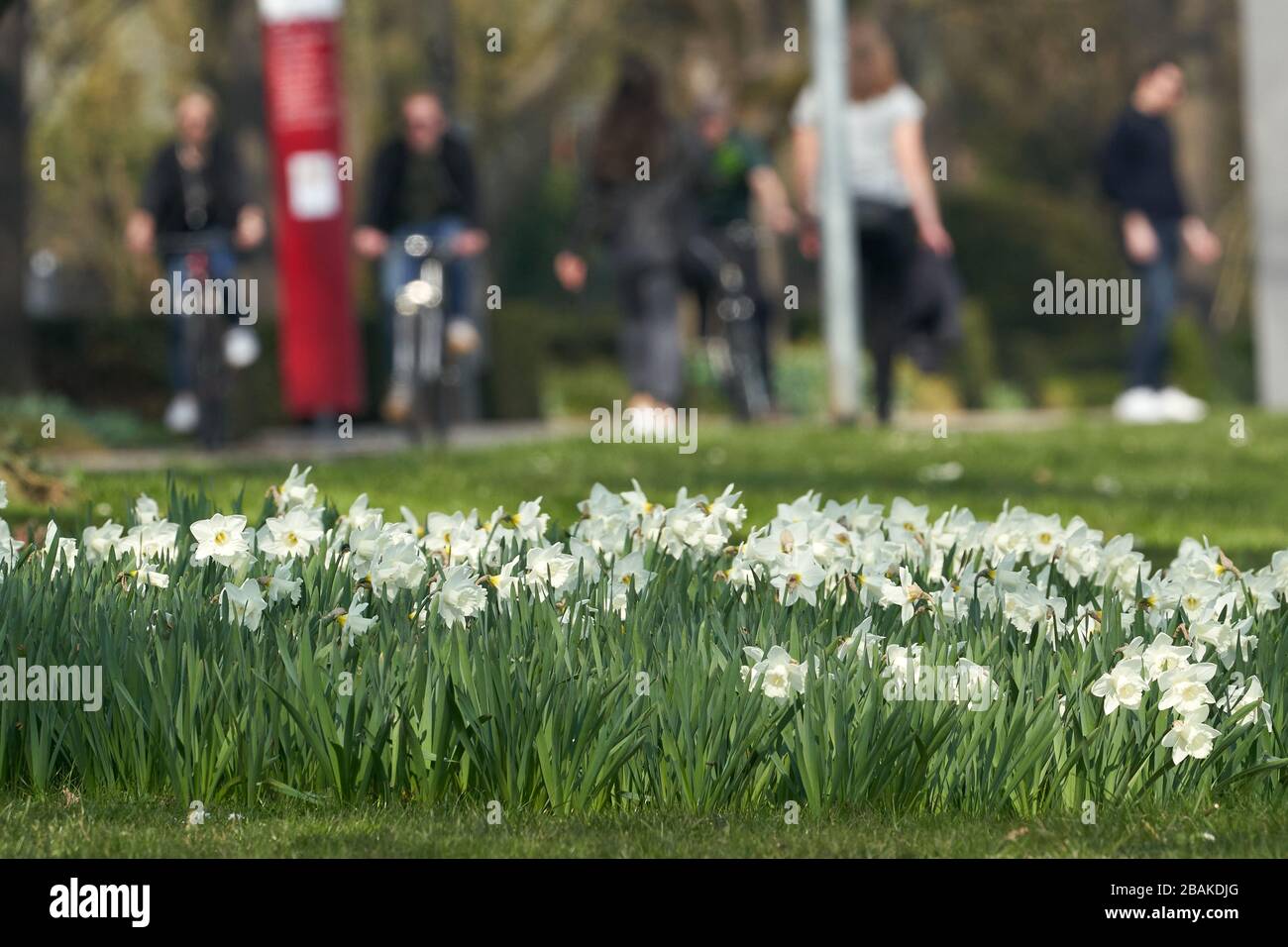 Niederwerth, Allemagne. 28 mars 2020. Le soleil lumineux attire les marcheurs, les joggers et les cyclistes aux installations du Rhin. Malgré les restrictions de contact, les gens cherchent à se divertir en l'air frais. Crédit: Thomas Frey/dpa/Alay Live News Banque D'Images