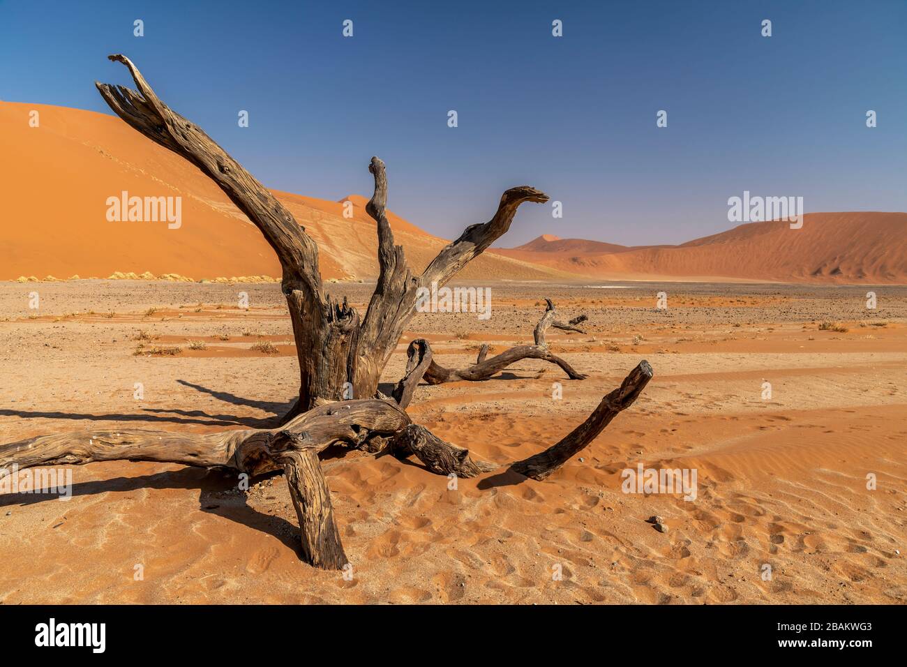 Paysage désertique, Sossusvlei, Parc National Namib-Naukluft, Sesriem, Namibie Banque D'Images