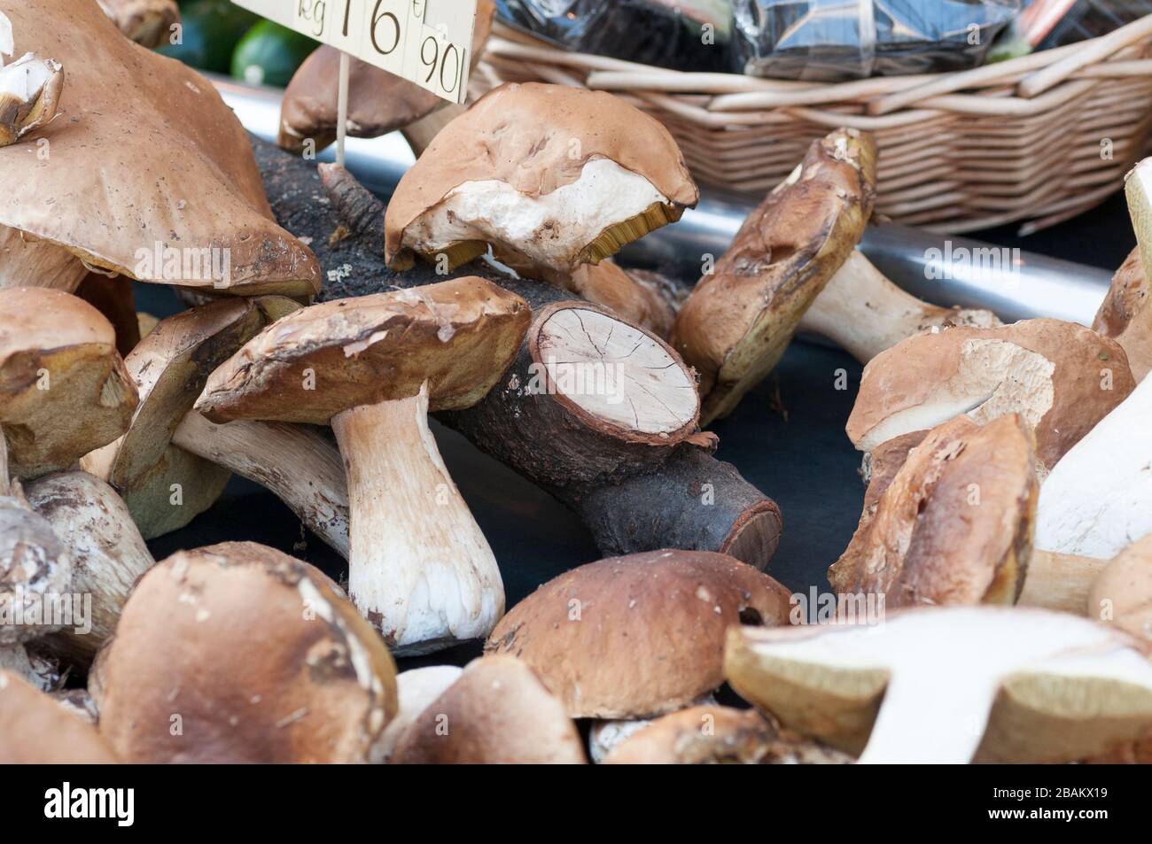 Funghi Porcini Banque d'image et photos Alamy