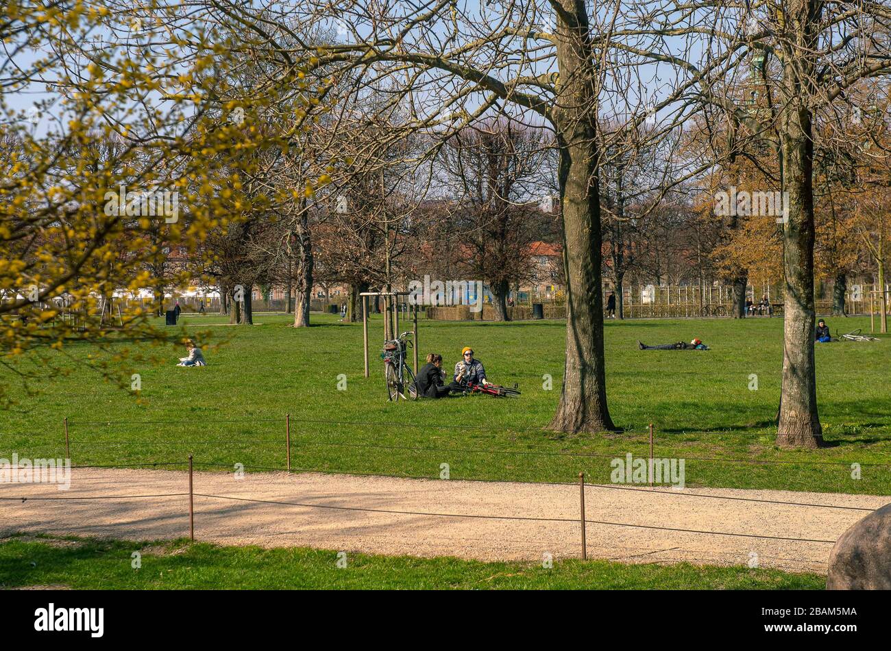 Les gens distanciation sociale à Copenhague, Danemark au Kings Garden avec le soleil brillant. Banque D'Images