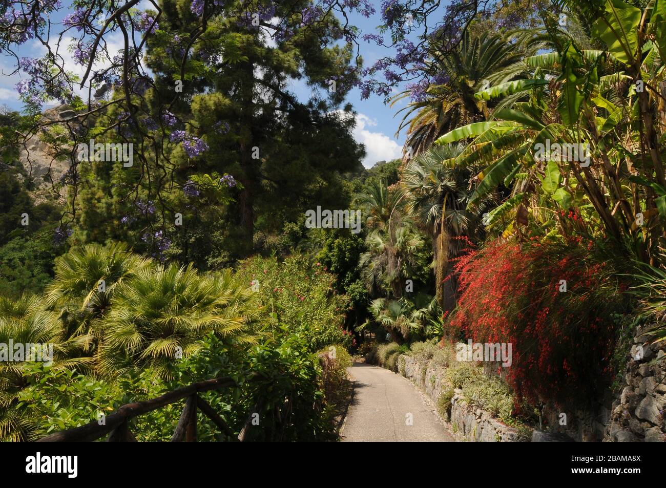 Hanbury Garden, 2016, la Mortola, Vintimiglia, Riviera dei Fiori, Italie. Banque D'Images