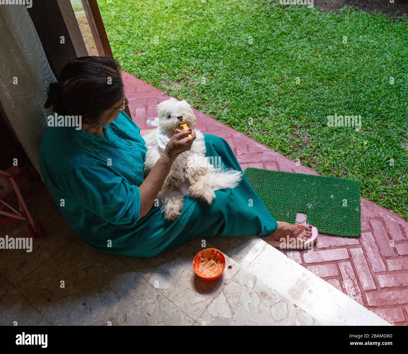 Femme locale en cuillère pour nourrir son chien animal à Colombo, Sri Lanka Banque D'Images