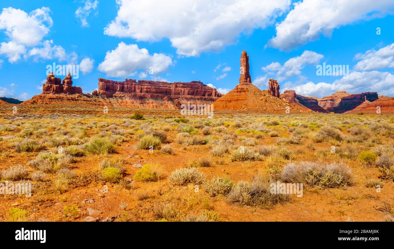 Les buttes de grès rouge et dans le Désert des Pinnacles semi paysage
