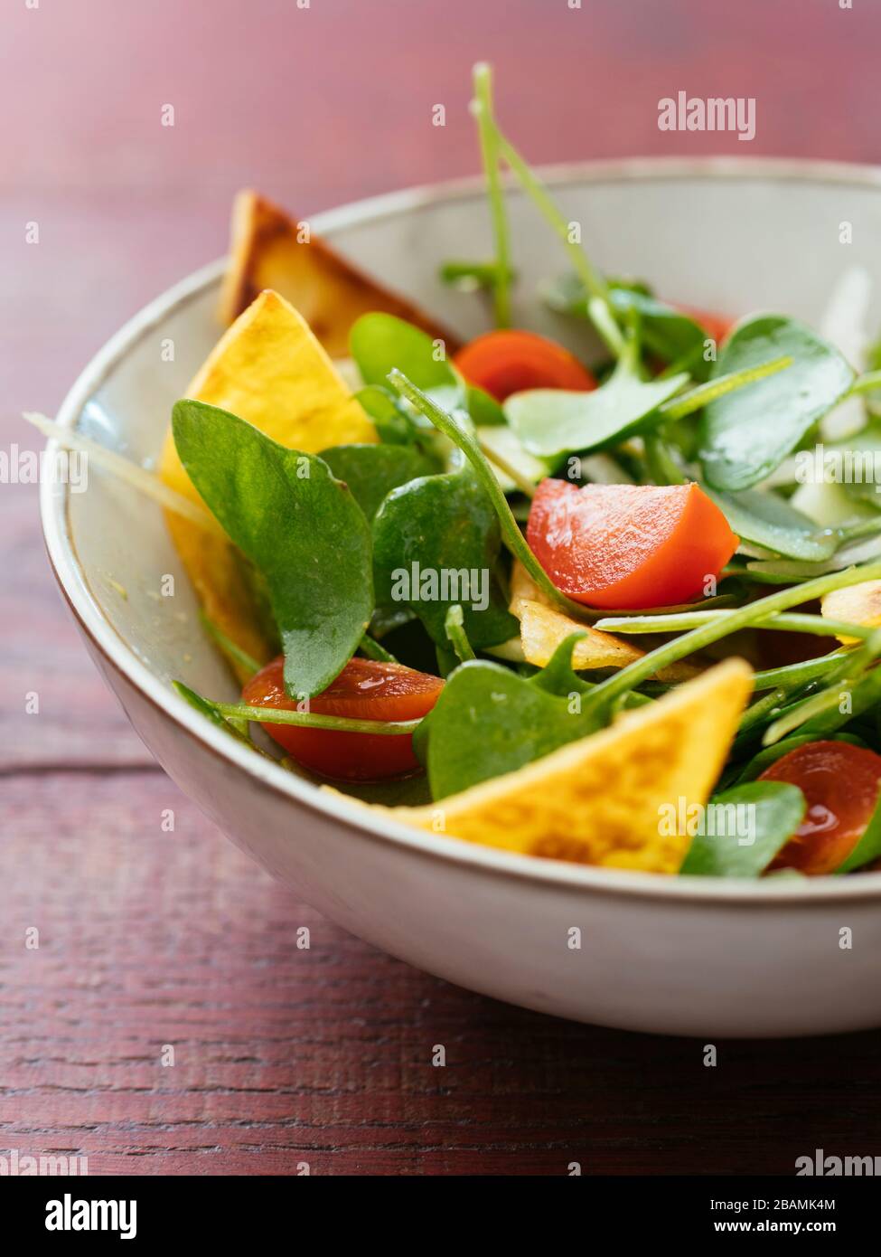 Salade de purée d'hiver avec courgettes, tomates, oignons et tortillas grillés. Banque D'Images