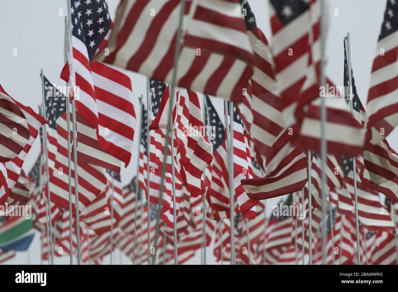 Collection de drapeaux américains Banque D'Images