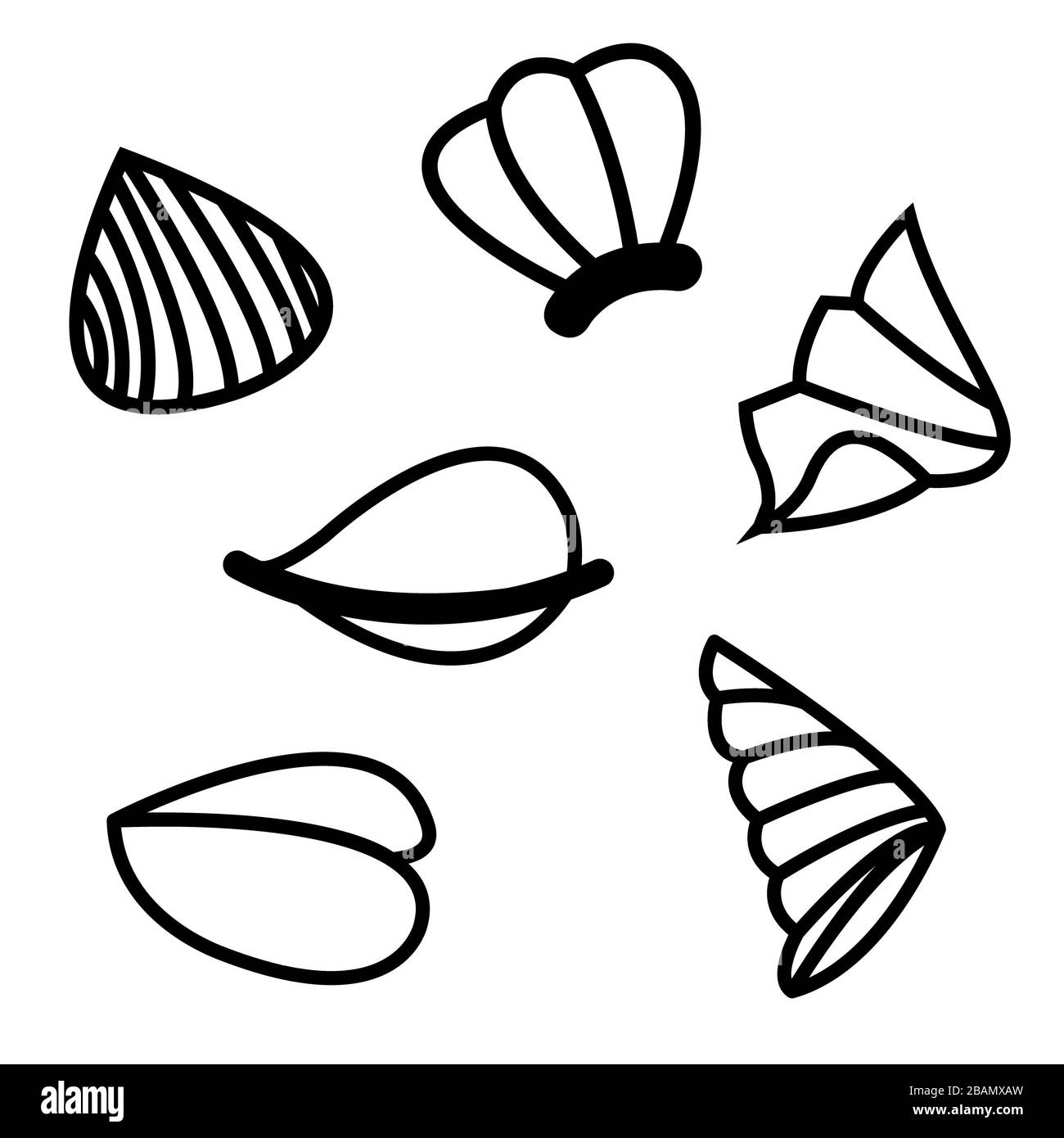 Illustration de l'ensemble vectoriel simple et doux noir et blanc Sea Shell Banque D'Images