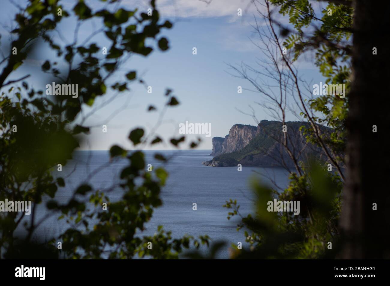 Cap des Rosiers, Parc Forillon, Gaspesie (QC), août 2013 (photo : Sébastien Lavallee) Banque D'Images