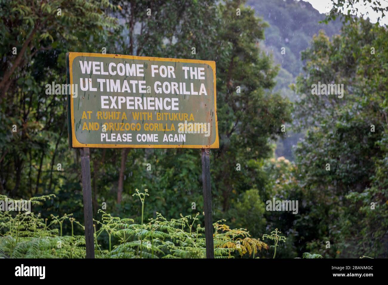 Panneau à l'entrée du parc national de Bwindi, Ouganda Banque D'Images